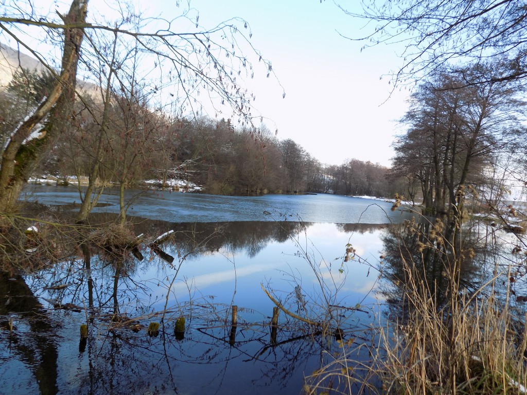 DSCN4129